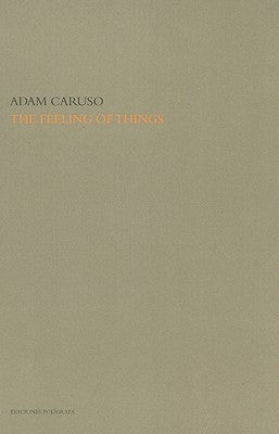 The Feeling of Things by Adam Caruso by Caruso, Adam