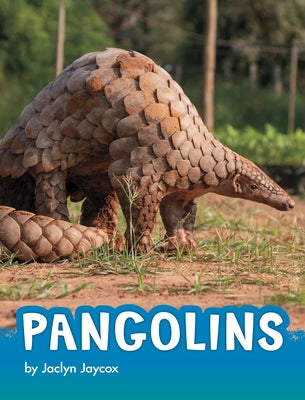Pangolins by Jaycox, Jaclyn