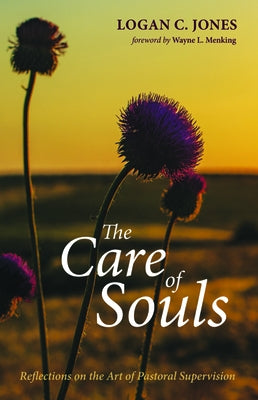 The Care of Souls by Jones, Logan C.