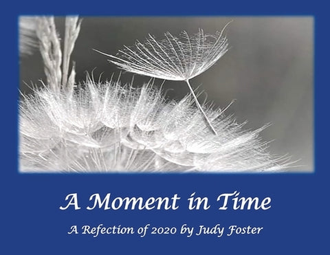 A Moment in Time: A Reflection of 2020 by Foster, Judy