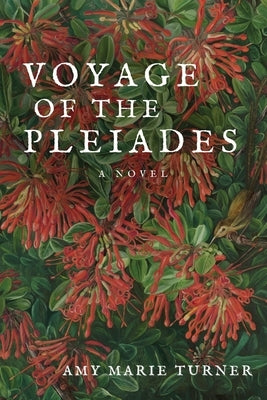 Voyage of the Pleiades by Turner, Amy Marie