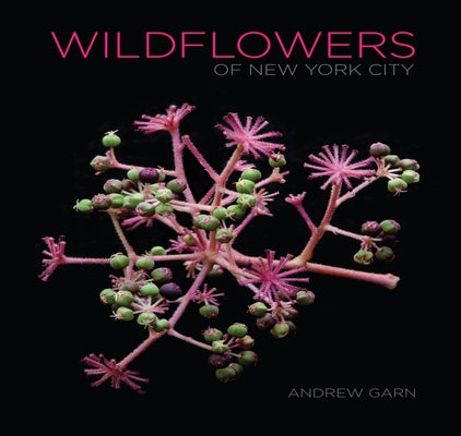 Wildflowers of New York City by Garn, Andrew