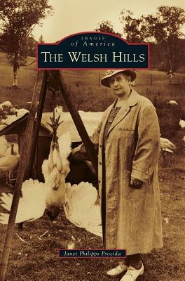 Welsh Hills by Procida, Janet Philipps