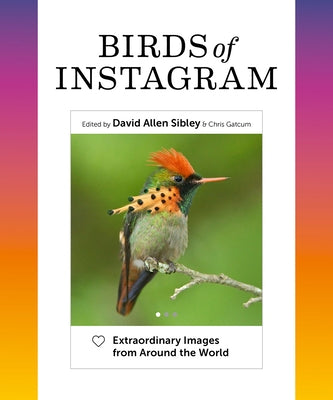 Birds of Instagram: Extraordinary Images from Around the World by Sibley, David Allen