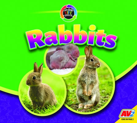 Rabbits by Gillespie, Katie