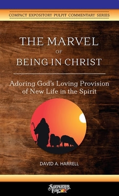 The Marvel of Being in Christ: Adoring God's Loving Provision of New Life in the Spirit by Harrell, David a.