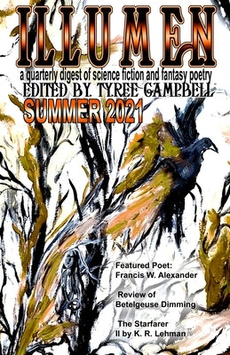 Illumen Summer 2021 by Campbell, Tyree