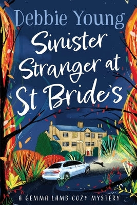 Sinister Stranger at St Brides by Young, Debbie