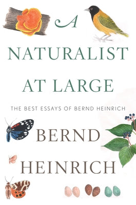 A Naturalist at Large: The Best Essays of Bernd Heinrich by Heinrich, Bernd