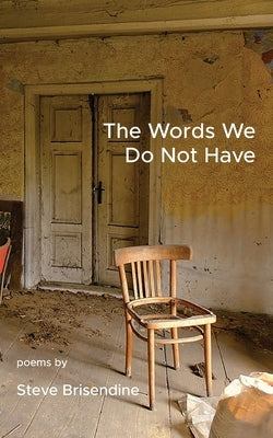 The Words We Do Not Have by Brisendine, Steve