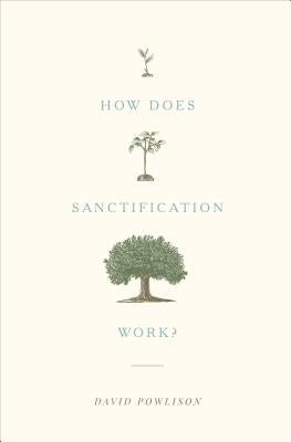 How Does Sanctification Work? by Powlison, David