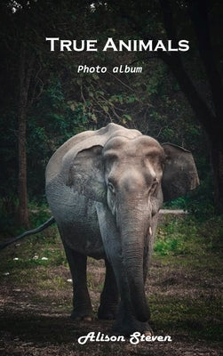 True Animals: Photo album by Alison Steven