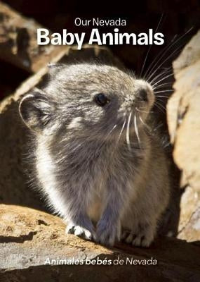 Our Nevada: Baby Animals by Conrad, Jerri