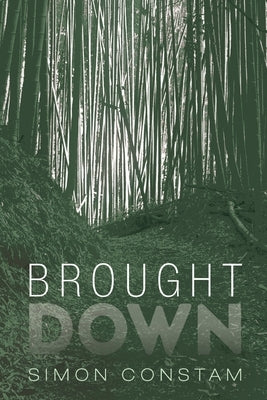 Brought Down by Constam, Simon