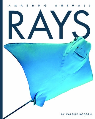 Rays by Bodden, Valerie