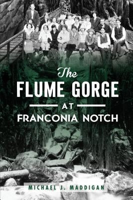 The Flume Gorge at Franconia Notch by Maddigan, Michael J.