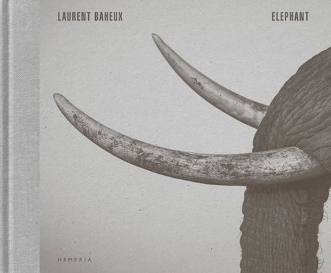 Elephant by Baheux, Laurent