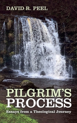 Pilgrim's Process by Peel, David R.