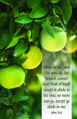 Abide in Me Bulletin (Pkg 100) General Worship by Broadman Church Supplies Staff