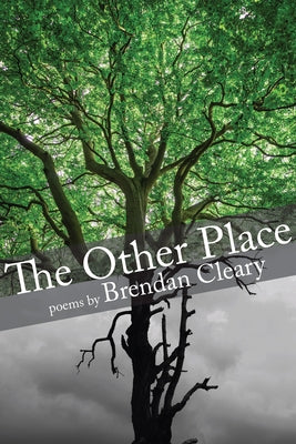 The Other Place by Cleary, Brendan