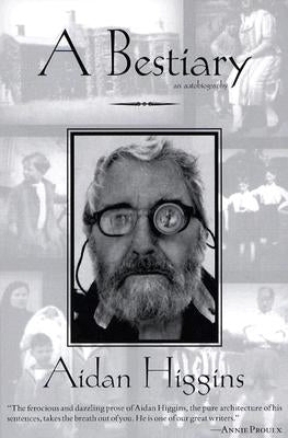 A Bestiary by Higgins, Aidan